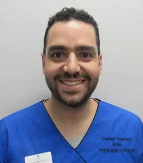 Dr George Vlachomitros