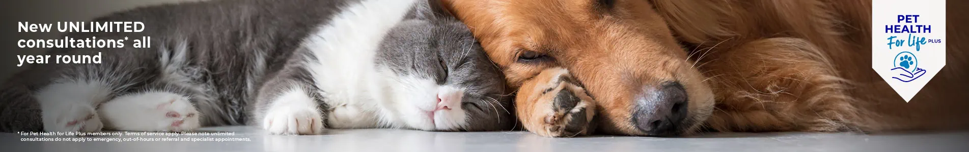 Pet Health for Life Plan from Cromwell Vets
