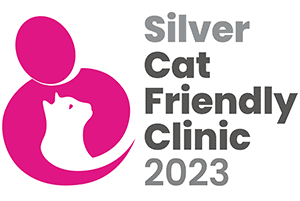 CFC Silver logo