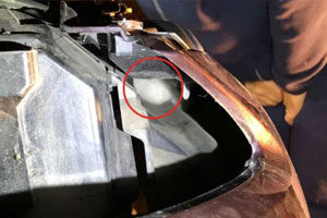 Kitten in car engine