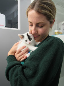 Sparky being cuddled
