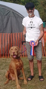 St Ives dog training club