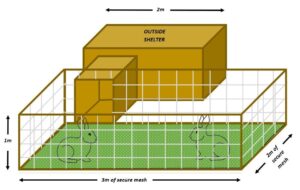 Rabbit enclosure size with external shelter