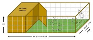 Rabbit enclosure size with internal shelter