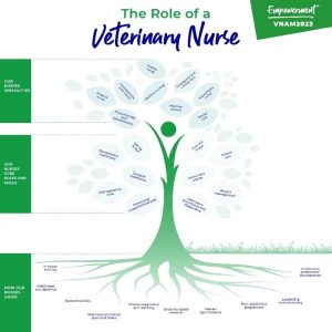 Role of a veterinary nurse