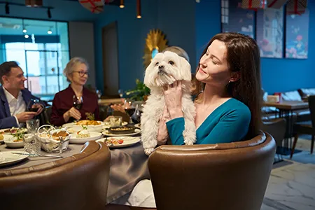 dogs-in-public-places-pubs