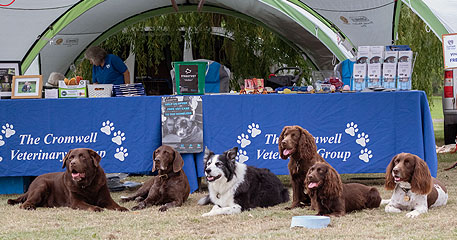 Cromwell Vets “extracurricular” – not just caring for your pets