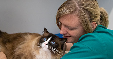 Very Nice, Very Necessary, Veterinary Nurses