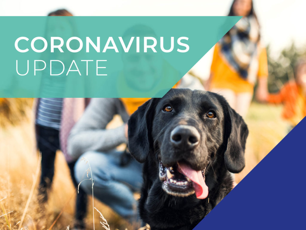 Cromwell Vets COVID-19 (Coronavirus) Update 1st April