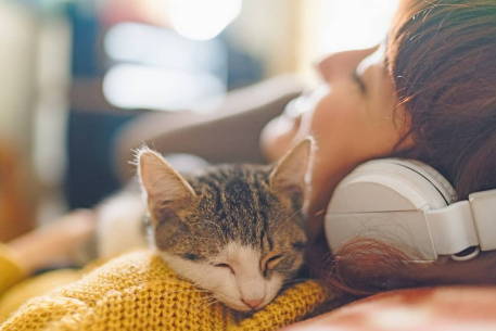 International day of happiness – how pets contribute to our Mental Wellbeing