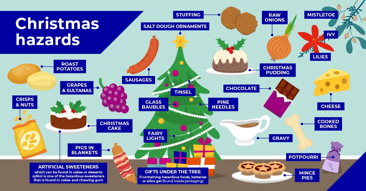 Christmas hazards in Huntingdon