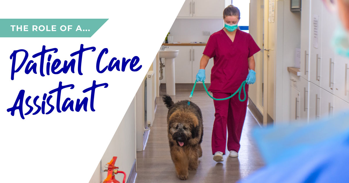 The role of a patient care assistant (PCA) in Huntingdon