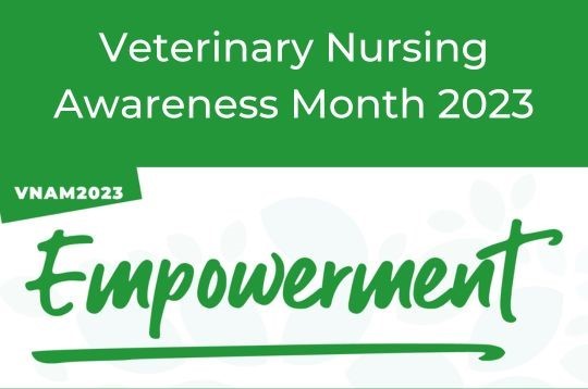 Veterinary Nursing Awareness Month at Cromwell Vets