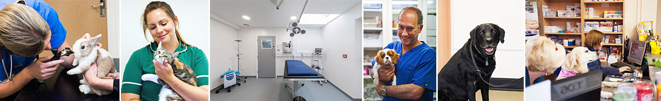 Some of our facilities at Cromwell Vets