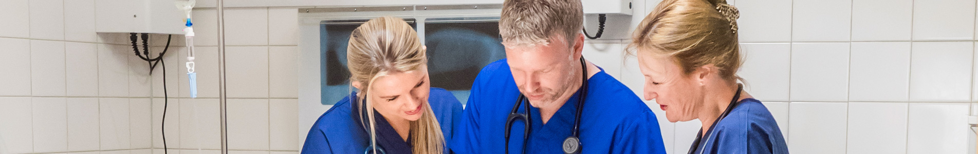 Cromwell Vets History