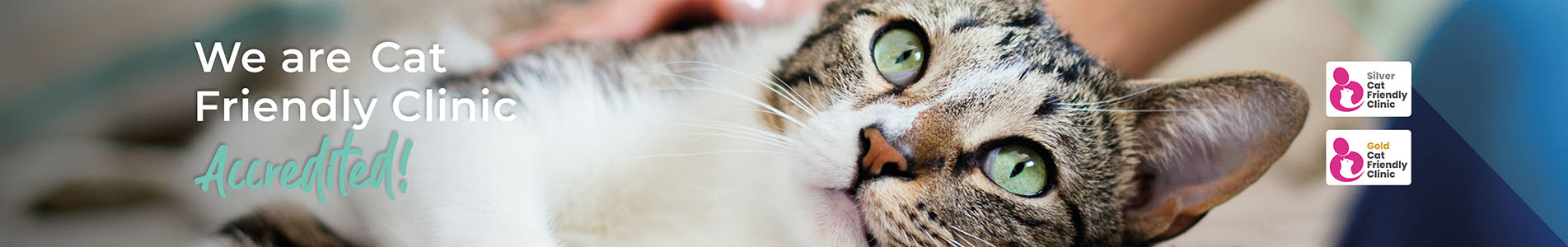 Cromwell Vets | Cat Friendly Vet Clinic in Cambridgeshire