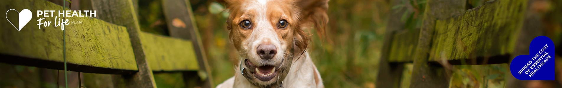 Dog Pet Health for Life Plan from Cromwell Vets