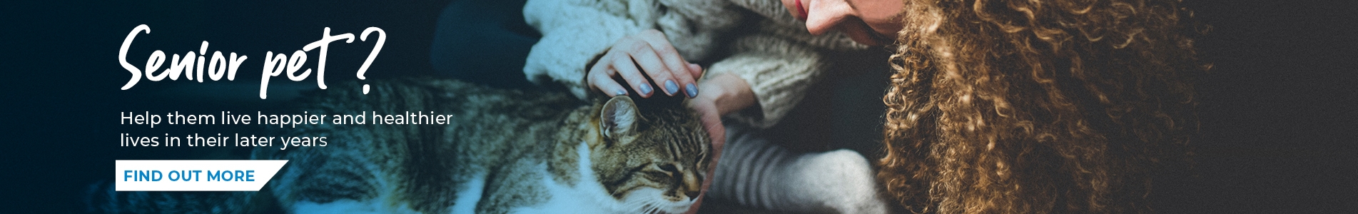 How to look after your senior pets 