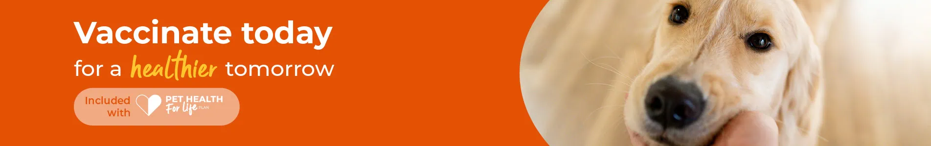 Dog, Cat, Puppy and Kitten vaccinations from Cromwell Vets