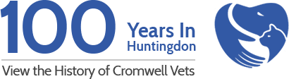 100 years in Huntingdon
