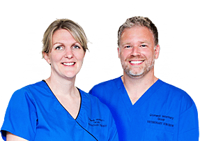 Vets in Cambridgeshire | Cromwell Vets 6 vet practices