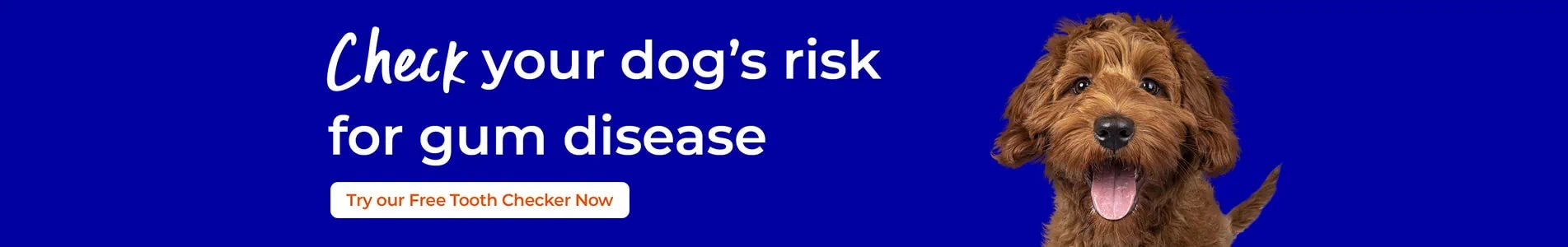 Pet Dental Care in Cambridgeshire