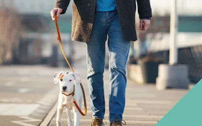 road safety week walking dogs 2023